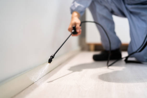 Licensed Mosquito Control service in Gantt, SC - Show Me Pest Control