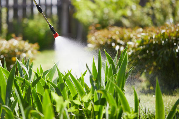 24/7 Emergency Mosquito Control experts in Gantt, SC