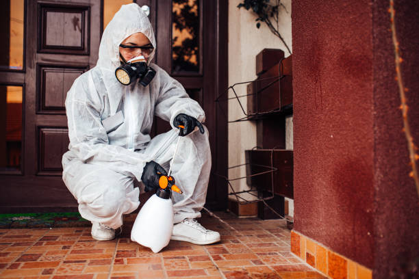 Reliable Mosquito Control contractor in Gantt, SC by Show Me Pest Control